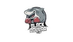 Скриншот проекта: Партнерская сеть blackdollar.ru