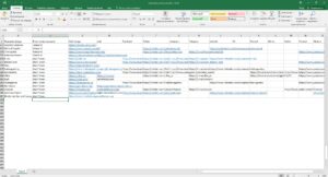 Проект по составлению контактных данных криптоинвесторов с сайта coinmarketcap.com, 2500 позиций
